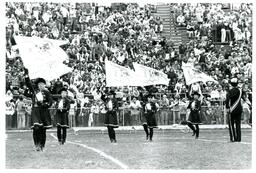 Color Guard Performing on Football Field (Part of the NMU Historic Photographs Collection)