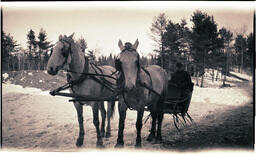 Horse-Drawn Sleigh