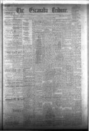 The Escanaba Tribune, 1873-05-10