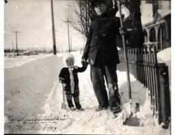 The Snowshovellers