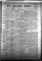 The Escanaba Tribune, 1877-03-03