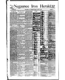 Negaunee Iron Herald, 1895-08-02