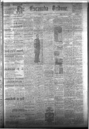 The Escanaba Tribune, 1873-03-15