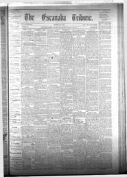 The Escanaba Tribune, 1875-07-17