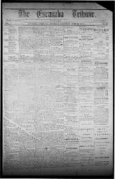 The Escanaba Tribune, 1870-06-25