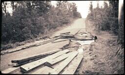 (024-019) Wood Planks, Pipes, and Trees on M-64 after Flood