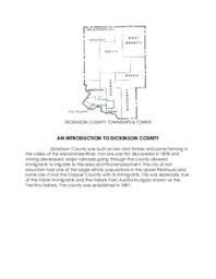 Dickinson County 1910 Census Statistics