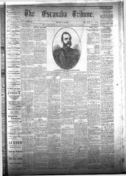 The Escanaba Tribune, 1877-07-21