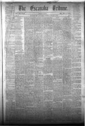 The Escanaba Tribune, 1873-01-04