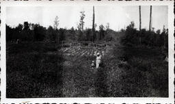 Young Tom Ross and Woman in Garden Field