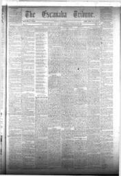 The Escanaba Tribune, 1873-02-22