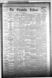 The Escanaba Tribune, 1876-05-13