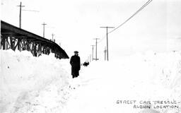 Streetcar Trestle at Albion Location