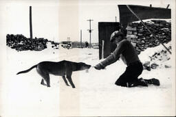 Tom Ross Playing Tug-o-War with Dog