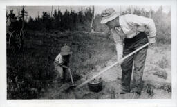 Young Tom Ross and Father Digging Potatoes (2 of 2)