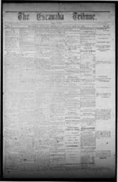 The Escanaba Tribune, 1870-05-28