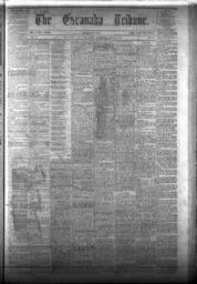 The Escanaba Tribune, 1873-07-05