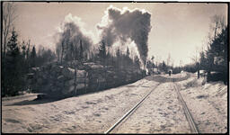 Logs on Flatcars (1 of 2)