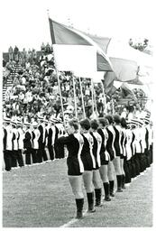 Color Guard and Other Marching Band Sections Lined up at Football Game (Part of the NMU Historic Photographs Collection)