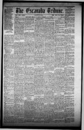 The Escanaba Tribune, 1871-05-13