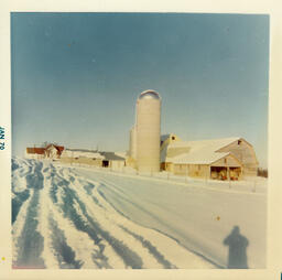 Winter on the Farm