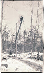 Logging Operation, 5 of 10