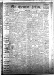 The Escanaba Tribune, 1877-08-04