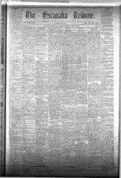 The Escanaba Tribune, 1873-07-12