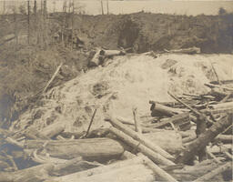 Waterfall in the Upper Peninsula with logs