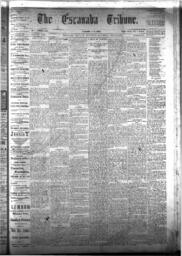 The Escanaba Tribune, 1877-07-28