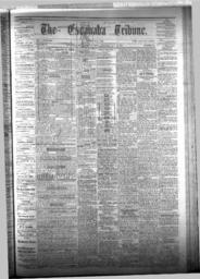 The Escanaba Tribune, 1875-05-29