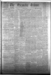 The Escanaba Tribune, 1873-04-19