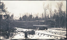 Logs on Flatcars (2 of 2)