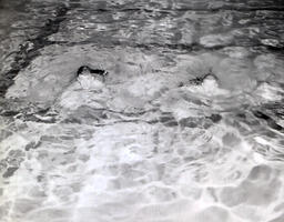 NMC Swimming Team 1961: Two Men Swimming in Pool Looking at Camera