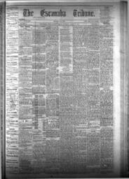 The Escanaba Tribune, 1875-03-13