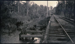 Elevated Train Tracks