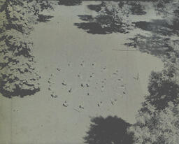 Music Camp August 1-6, 1960: Aerial View of Campers Sitting in Circles (3)