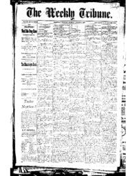 The Weekly Tribune, 1893-08-24