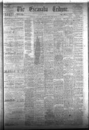 The Escanaba Tribune, 1873-05-17