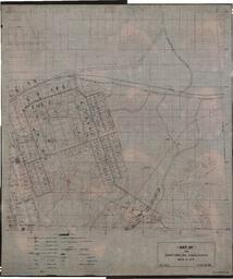 Topographic Map of S.W. 1/4 Sec. 20, T.54N,R.34W, Trimountain