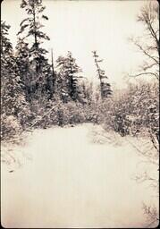 (023-019) Field and Forest in Winter (4 of 4)