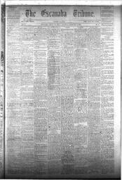 The Escanaba Tribune, 1873-02-15