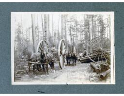 Horse-Drawn Logging Carts