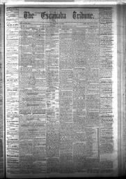 The Escanaba Tribune, 1875-05-08