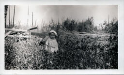 Young Tom Ross in Tall Grass Field