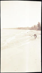 Man on Beach