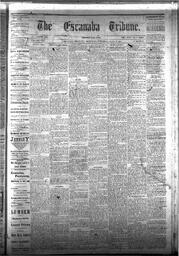 The Escanaba Tribune, 1877-06-16