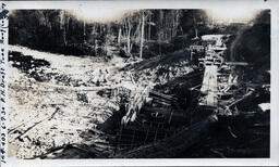 Logging for the Victoria Powerhouse Draft Tube Roof