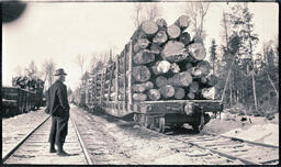 Man Admires Lumber