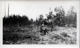 Young Tom Ross with Dog and Horse